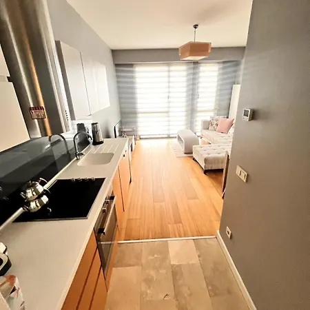 Divan At G Tower 0270 公寓 伊斯坦布尔